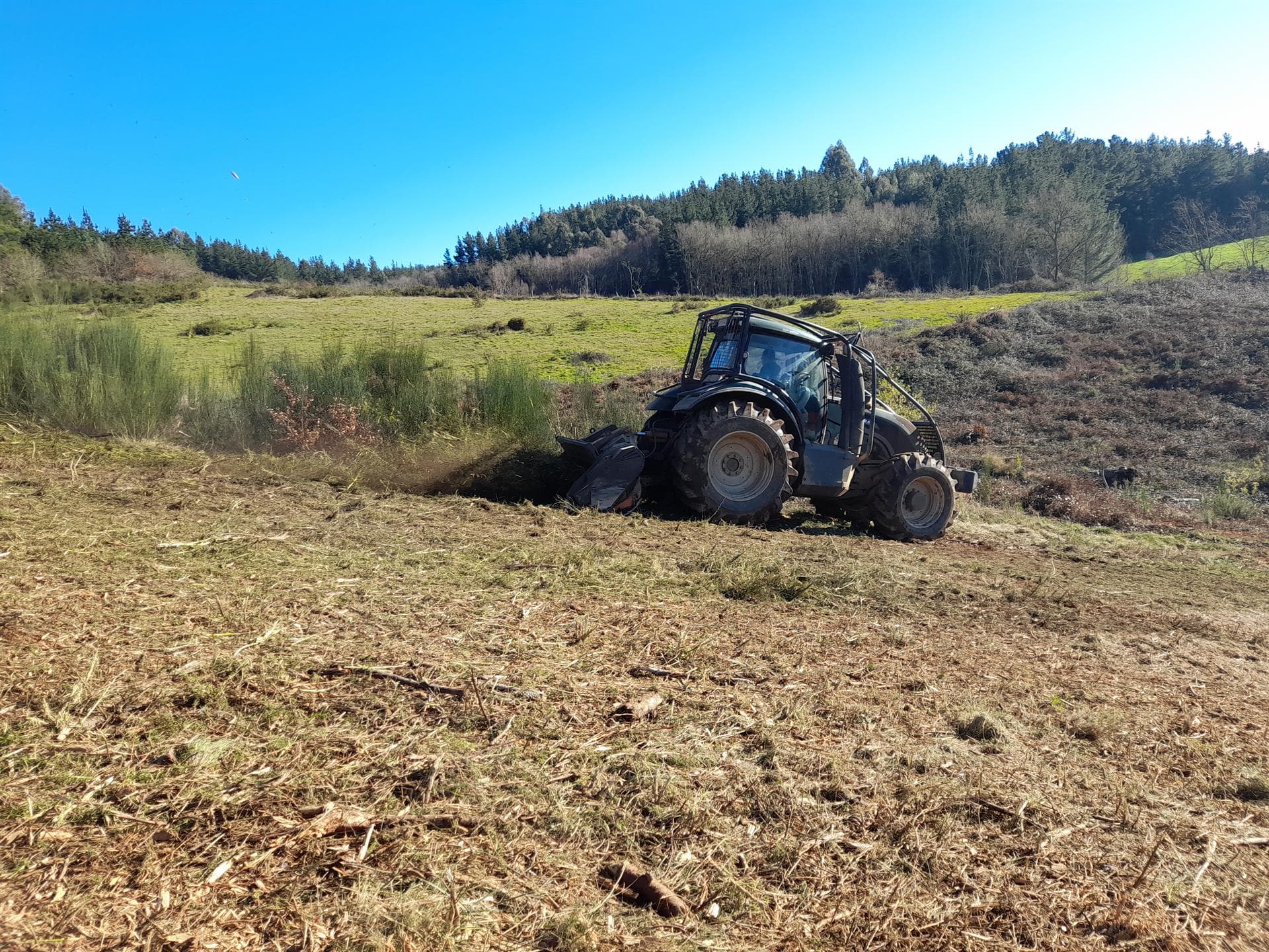 Empresa de servicios forestales en Carballedo