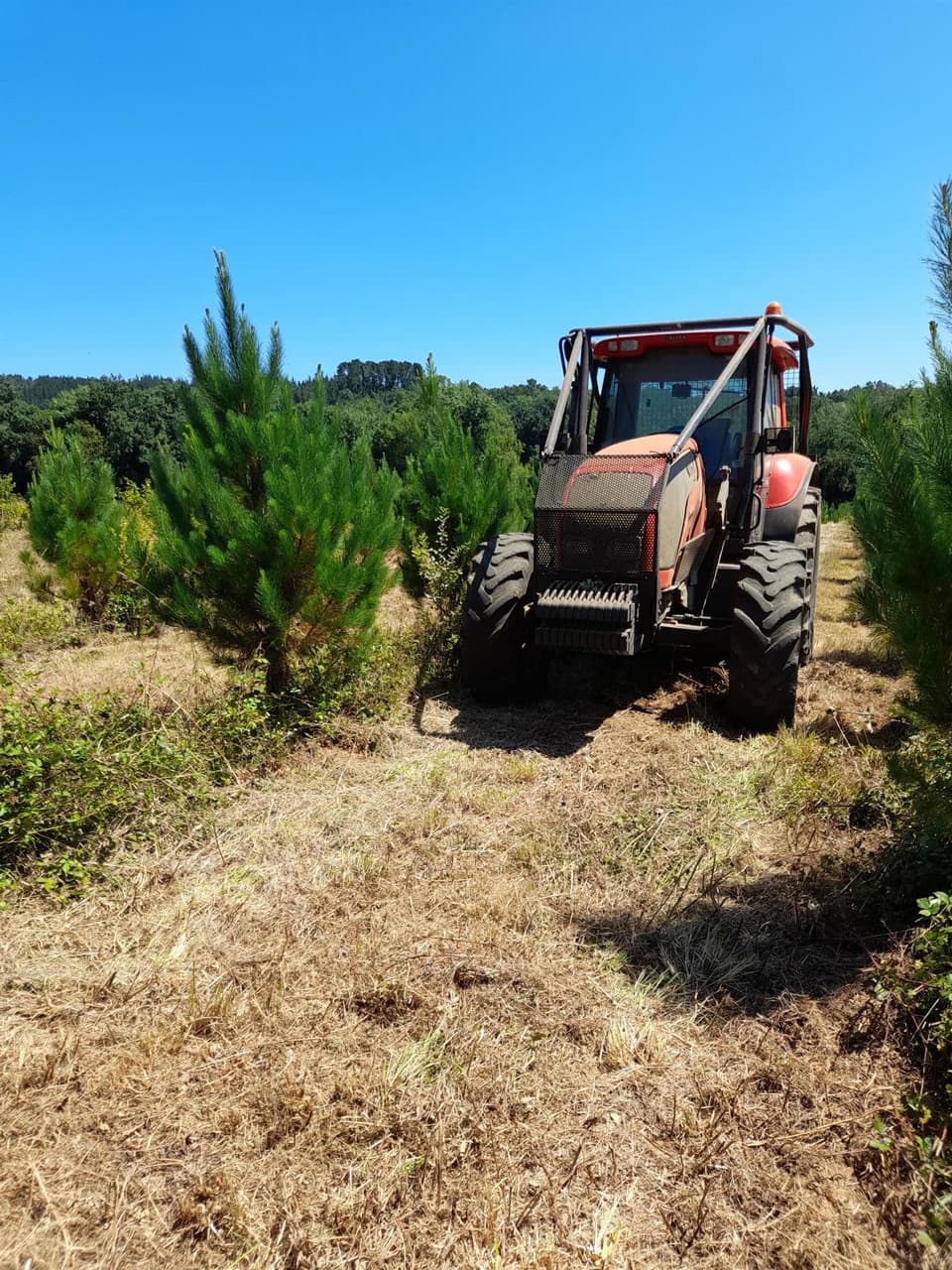 La mejor maquinaria forestal