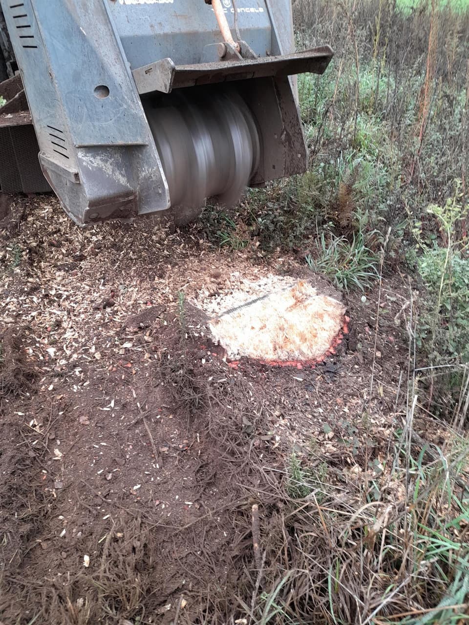 Empresa forestal en Carballedo | Forestal Lamela