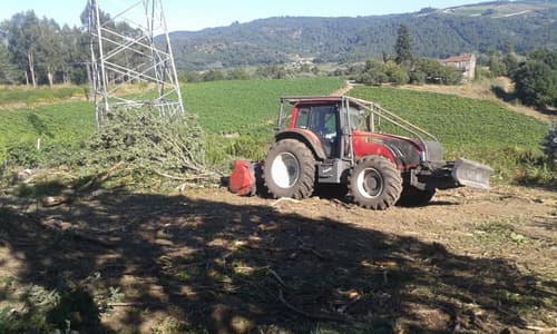 Empresa forestal en Carballedo | Forestal Lamela