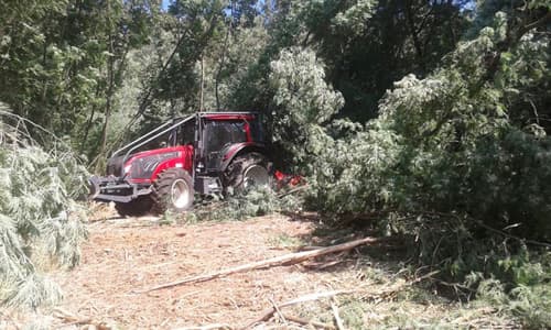 Empresa forestal en Carballedo | Forestal Lamela