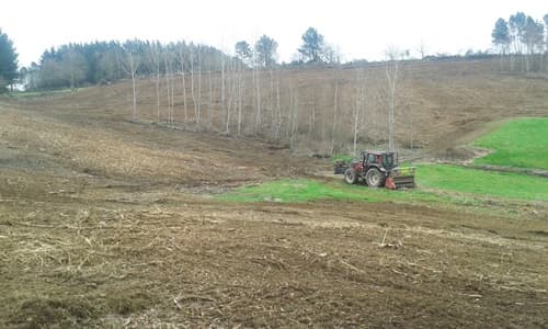 Empresa forestal en Carballedo | Forestal Lamela