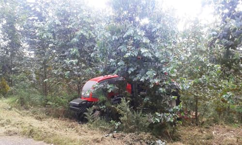 Trabajos forestales en Carballedo | Forestal Lamela