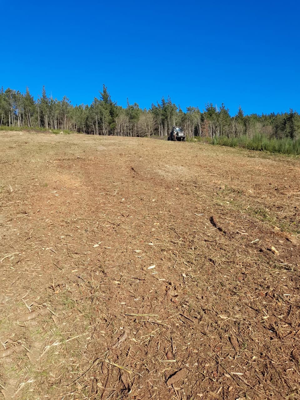 Trabajos forestales en Carballedo | Forestal Lamela